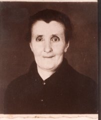 Photo avec l'âne tirant le foin sur la luge