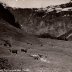 Les pâturages des Fonts - 1947