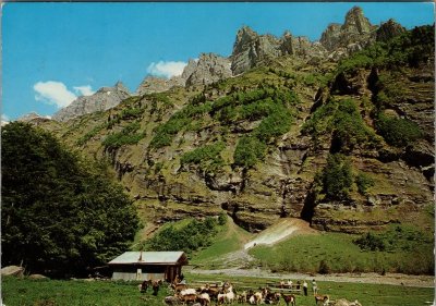 Le chalet de Prazon avec les chèvres