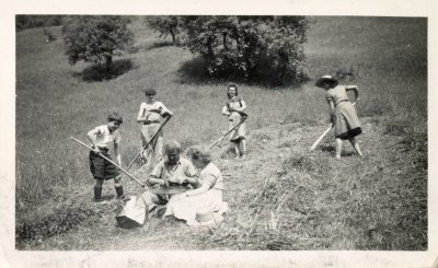 Photo des foins au Lochet