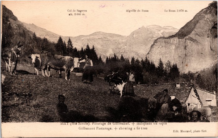 Pâturage de Giffre Nant