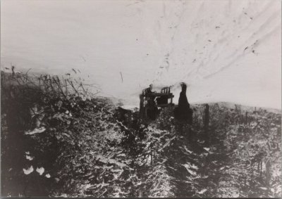 Les foins avec la jument en hiver 1980