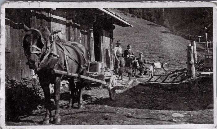 Photo devant la Cantine des Fonds avec la jument et les chèvres