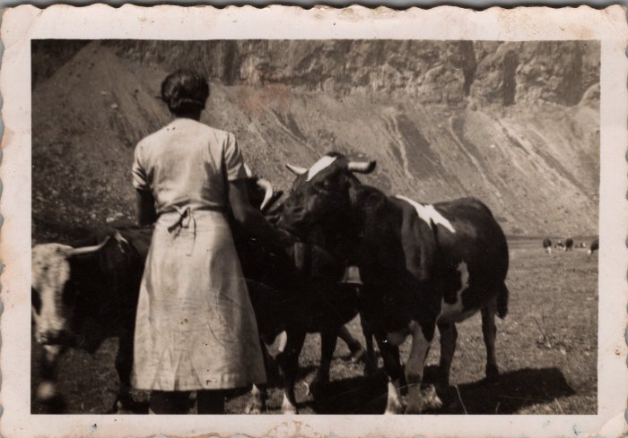 Photo dans les alpages d'Anterne - Irène MOGENIER